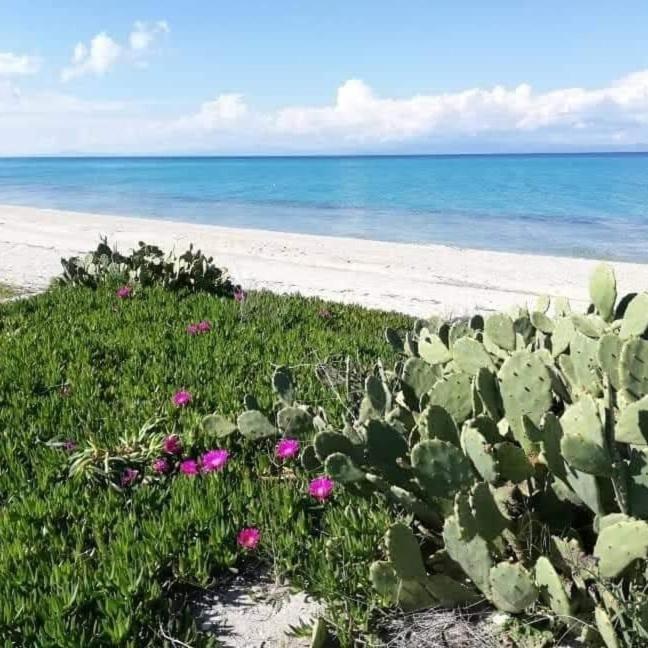 هانيوتي Villa Christina Sea Side A المظهر الخارجي الصورة